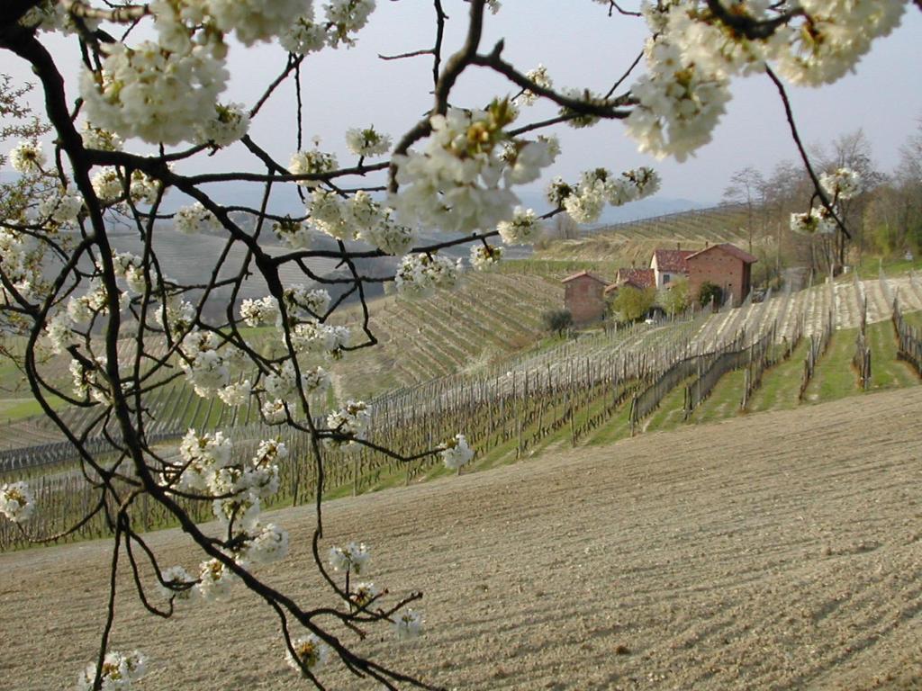 Hostal Cascina Il Ginepro Sinio Exterior foto